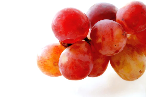 kırmızı üzüm