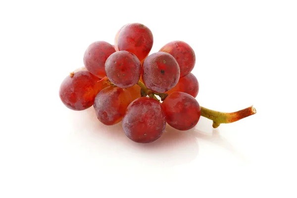 Vörös szőlő — Stock Fotó