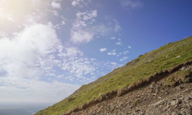 Komik kedi boyama kitabı ya da ürün üzerine baskı için kokteyl içiyor. Vektör illüstrasyonu