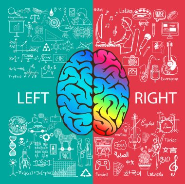 Left and right brain functions with doodles. clipart