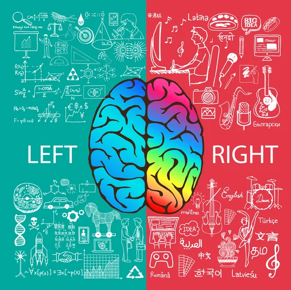 Funciones cerebrales izquierda y derecha con garabatos . — Archivo Imágenes Vectoriales