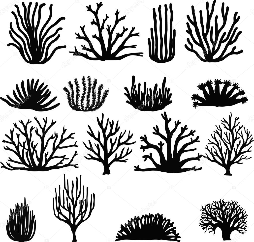 Hand drawn corals isolated on white. Silhouette icons.