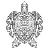 Drawing zentangle turtle