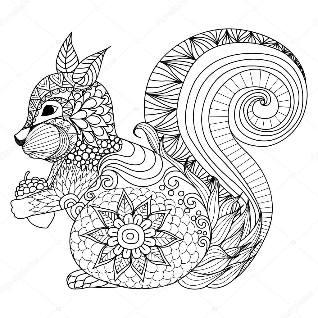 Hand drawn squirrel zentangle style for coloring book,tattoo ,t shirt design,logo