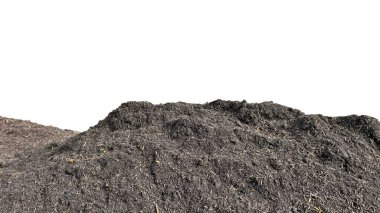 Yakın çekim büyük bir yığın koyu, zengin organik malzeme, muhtemelen gübre, gübre veya toprak, saf beyaz arka plan karşı izole