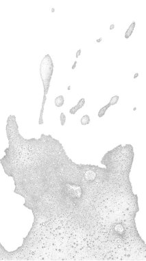 High-key abstract photograph layer white foam or suds spreading across bottom portion white background. Foam composed numerous tiny delicate bubbles textured slightly frothy appearance
