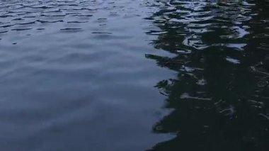 Video, karanlık, yansıtıcı bir yüzey kanalı, gölet ya da gölgelerde gerçek zamanlı su dalgalarını ya da dalgalanmalarını görüntüler.