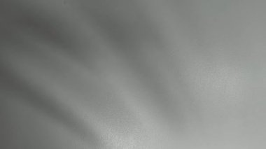 Bir palmiye yaprağının organik gölgesinin açık gri bir yüzey boyunca dans etmesini içeren soyut hareket arkaplanı. Yavaş, pürüzsüz hareket ve tek renkli tonlar modern ve barışçıl bir hava sağlıyor.