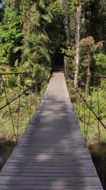 Yüksek çözünürlüklü 4K POV taşra ahşap süspansiyon köprüsünden geçerek verimli tropikal ormana doğru ateş etti. Güneşli palmiye ağaçları ve yoğun yapraklar barışçıl bir macera ortamı yaratır.