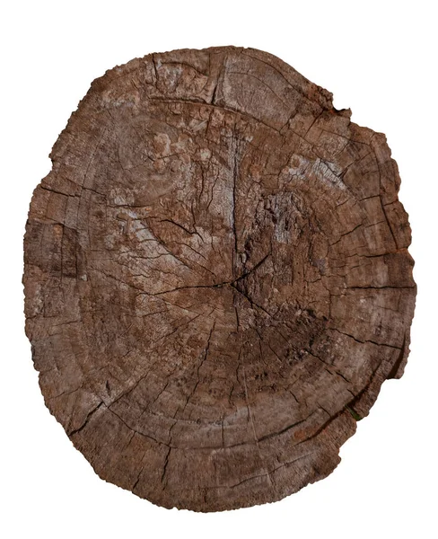 Görünür büyüme halkaları ve kırsal çatlak dokusu olan doğal ağaç gövdesi kesiti. Çevre dostu tasarım ve organik markalaşma için tarafsız arka planda izole edilmiş ahşap dilimler.