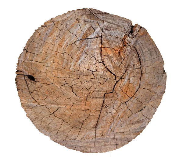 Görünür büyüme halkaları ve kırsal çatlak dokusu olan doğal ağaç gövdesi kesiti. Çevre dostu tasarım ve organik markalaşma için tarafsız arka planda izole edilmiş ahşap dilimler.