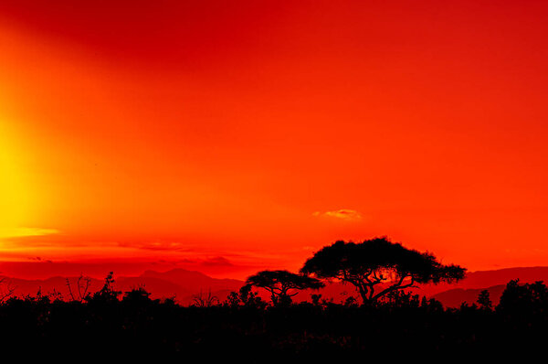 Adventure and safari in Kenya, Africa with sunset on the black continent and the cradle of humanity.