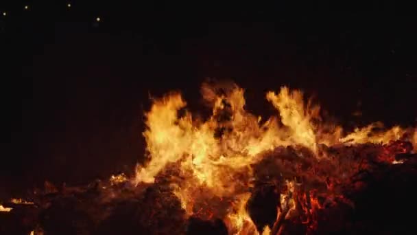 Grande incendio nella notte - Summerfeeling — Video Stock