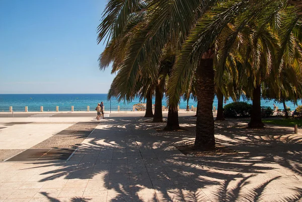 Büyük palmiye ağaçları ve Menton, Fransa 'da deniz kenarında yürüyen insanlar..