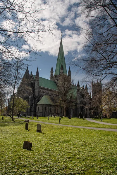 Nidarosdomen, Trondheim, Norveç. Ağaç dallarında yaprak yok. Delik binasını görmek mümkün. Dikey fotoğraf