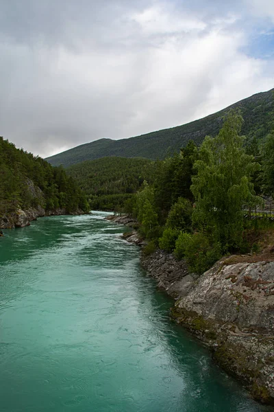 The river Otta. The turquoise color comes from algae of melting snow in the mountain. Norway. Vertical photo. Copy space.