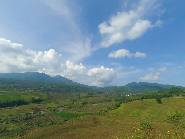 View Blue Sky Expanse Hills Rice Fields — Stock Photo, Image