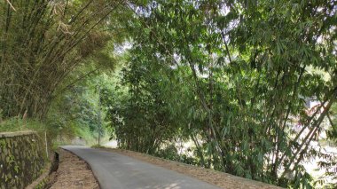 Cikancung bölgesindeki bir tepenin tepesindeki patikanın fotoğrafı.