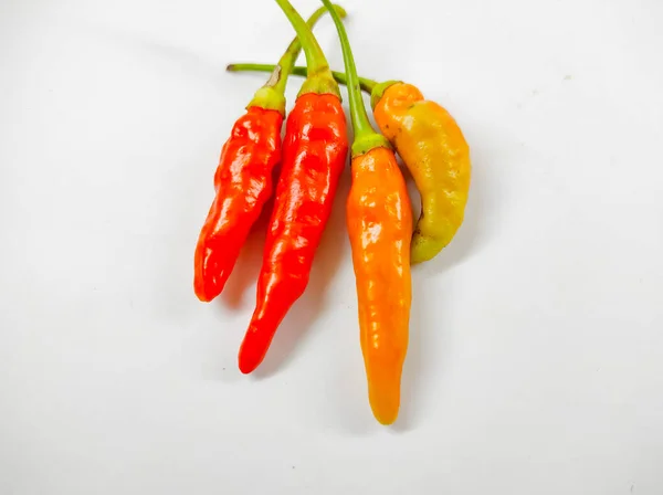 Photo Red Orange Cayenne Pepper Isolated White Background Mini Studio — ストック写真