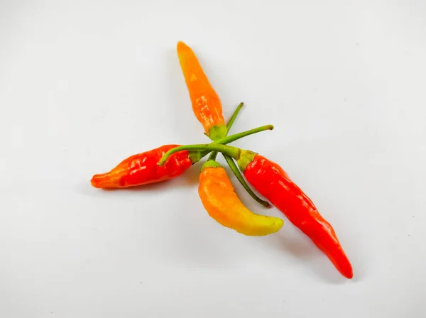 Photo Red Orange Cayenne Pepper Isolated White Background Mini Studio — ストック写真