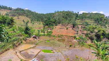 Cikancung bölgesindeki bir uçurumun kenarındaki pirinç tarlalarının manzarası.