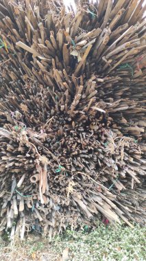 Cikancung bölgesindeki bir yığın bambu dalının çıkarılmış resmi.