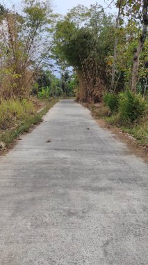 Cikancung bölgesinin etrafında bambu bahçeleri olan sessiz ve korkunç bir patikanın soyut çözünmüş fotoğrafı.