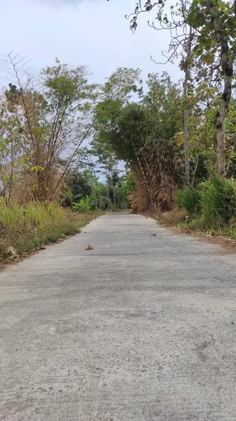 Cikancung bölgesinin etrafında bambu bahçeleri olan sessiz ve korkunç bir patikanın soyut çözünmüş fotoğrafı.