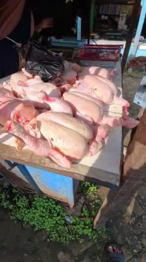 Geleneksel bir kasap dükkanında sineklerle çevrili çiğ tavuk eti yığınının dikey video klibi. 4K HD çözünürlüğündeki bir et deposundan et alışverişinin POV görüntüleri.