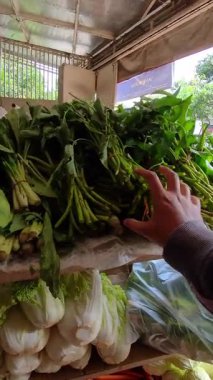Raftan taze su ıspanağı seçen bir elin dikey birinci şahıs videosu. Market alışverişinin 4K HD çözünürlükte POV görüntüleri.