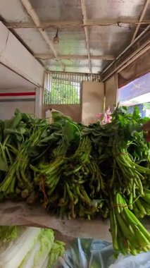 Raftan taze su ıspanağı seçen bir elin dikey birinci şahıs videosu. Market alışverişinin 4K HD çözünürlükte POV görüntüleri.