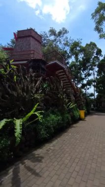 Yapay bitki örtüsüyle çevrili bir yol boyunca bir yürüyüşü gösteren dikey birinci şahıs video klibi. 4K HD çözünürlüklü orman temalı bir eğlence parkının POV görüntüleri.