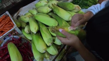 Birinci Sinema Kişisi: Endonezya 'nın Bandung kentindeki geleneksel bir pazarda kabuklara sarılmış taze, çiğ mısırları seçmek. POV 4K çözünürlüklü geleneksel bir pazardan alışveriş görüntüsü.