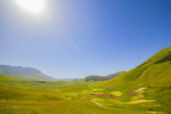 çiçekli Castelluccio di Norcia alanlar