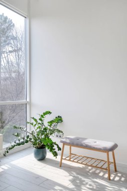 Modern oturma odasındaki fotokopi duvarına karşı duran ev bitkisinin dikey görüntüsü. Kaplama zeminde, pencereye yakın rahat ahşap bir bank. Zarif mobilya ve oda dekorasyonu kavramı