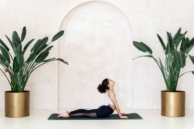 Sakin Afro-Amerikan kadın paspasın üzerinde siyah spor giyim eğitimi alıyor, spor salonunda yoga egzersizi yapıyor ya da evde egzersiz yapıyor. İnce vücutlu çekici bir kız. Spor sınıfında bitkilerle Asana yapıyor.
