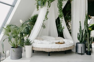 Boho ve kentsel orman iç tasarımı. Açık tenli yatak odası, beyaz renklerde ve yuvarlak bir yatak odası. Yeşil tropik saksı bitkileriyle süslenmiş bohem tarzı parlak bir oda.