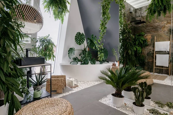 Innenarchitektur Urbanen Dschungel Stil Modernes Badezimmer Mit Grünen Tropischen Pflanzen — Stockfoto