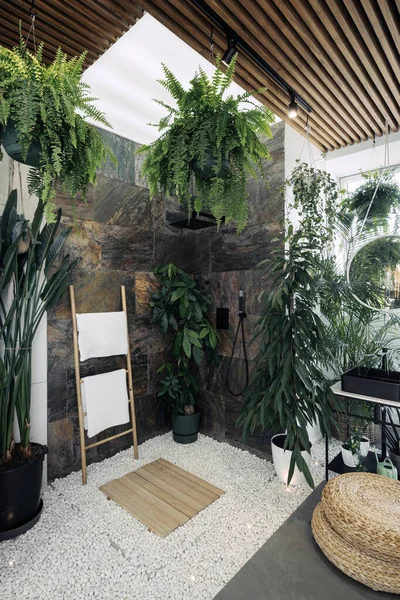 Shower in tropical bathroom with green plants, vertical shot. Potted greenery, hanger with fresh towel on pebble floor, wicker ottoman and wash basin under round mirror