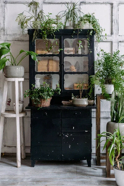 Vertikale Aufnahme Von Schwarzen Vintage Schrank Mit Antiquitäten Mit Vielen — Stockfoto