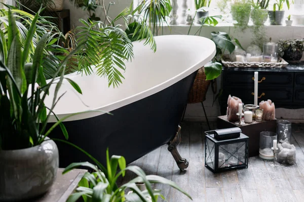 Schwarze Vintage Freistehende Badewanne Umgeben Von Viel Grün Davor Viele — Stockfoto