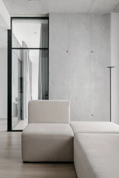 Vertical Shot Loft Style Living Room Light Modern Sofa Contemporary — Foto Stock
