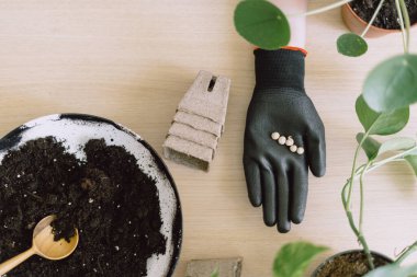 Bahçe gübre toprağı ile dolu tepsi üst görünüm ve siyah eldiven içinde açık kadın eli tohum biyo çözünür boş tencereler yanında masa yüzeyinde sebze ekme ve çiçek