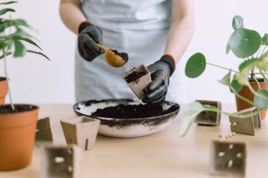 Açık önlüklü bir kızın seramik kaseden evrensel bitki toprağını yudumlarken çekilmiş fotoğrafı. Biyolojik çözünürlüklü turba kaplarında tahta kaşık kullanıyor. Bahçecilik ve saksı çiçeği bakımı