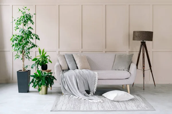 Interiérový Design Moderního Domu Výzdobou Skandinávský Obývací Pokoj Šedou Pohovkou — Stock fotografie