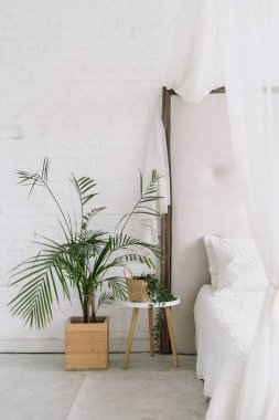 Ev yatak odasının doğal dekorlu dikey görüntüsü. Yatağın yanındaki yeşil bitkinin kapağı. Hygge stili daire için beyaz iç mekan. Modern evde ahşap süslemeli kimse yok..