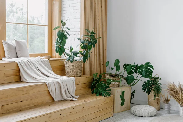 Home interior with wooden decor, room design. Modern cozy apartment with nobody, indoors window sill with nature. Scandinavian style flat with houseplant decoration, natural light.