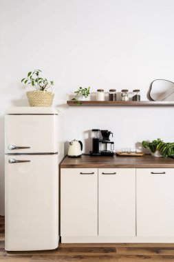 Beyaz modern mutfağın dikey çekimlerinde retro tarzı bir buzdolabı, ahşap dolaplar, elektrikli çaydanlık ve kahve makinesi bulunur. Kapalı alan bitkileri ve ev dekorasyonu bohem evine yeni bir dokunuş katıyor.