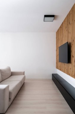 Düz ekran LCD televizyonu olan oturma odası tahta bir duvara monte edilmiş, dikey çekim. Daire veya otelde doğal ışık mobilyaları ve minimalist tasarım estetiğini ön plana çıkarıyor.