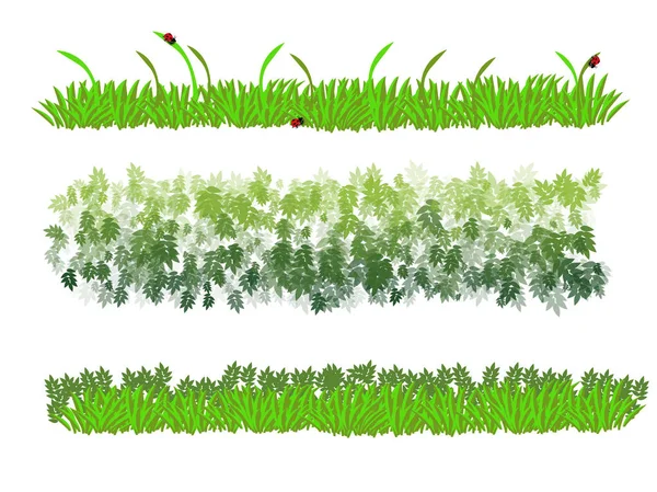 Grönt Gräs Vit Bakgrund — Stock vektor